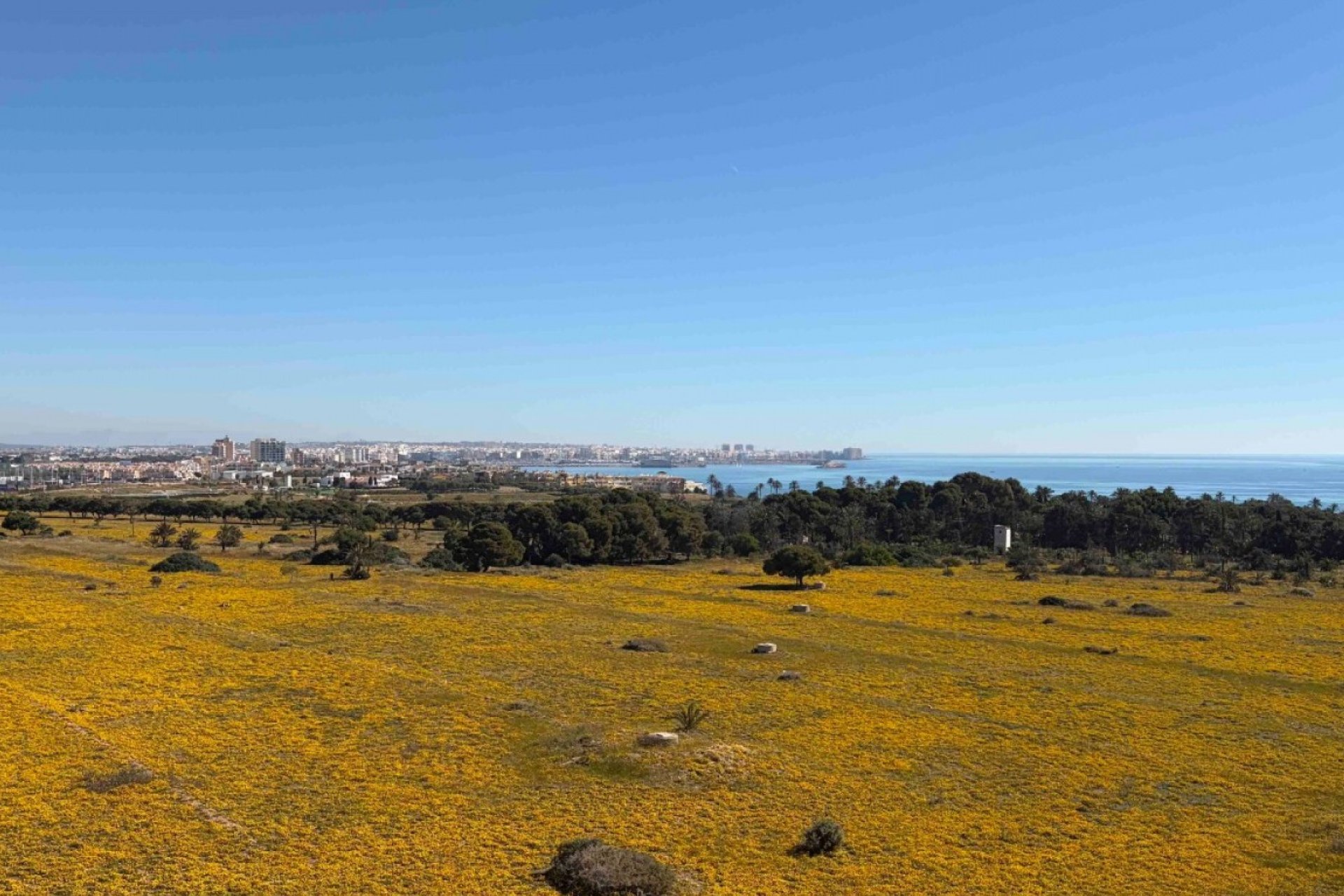 Reventa - Apartamento - Orihuela Costa - Punta Prima