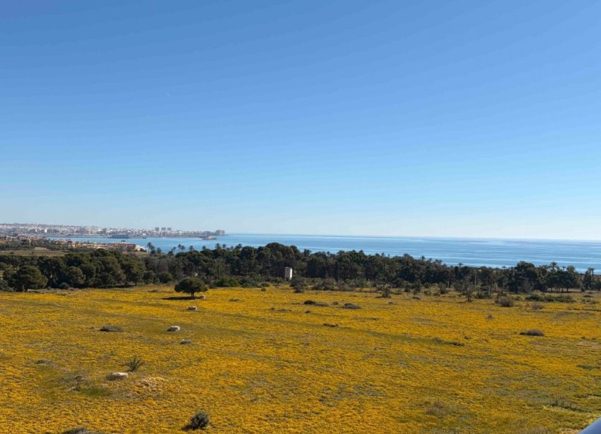 Reventa - Apartamento - Orihuela Costa - Punta Prima