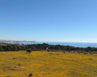 Reventa - Apartamento - Orihuela Costa - Punta Prima