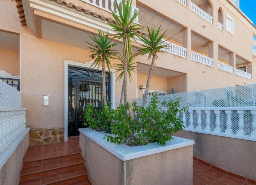 Reventa - Apartamento - Orihuela Costa - Villamartin
