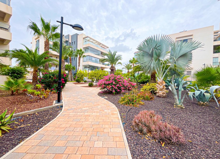 Reventa - Apartamento - Orihuela Costa - Villamartín