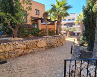 Reventa - Apartamento - Orihuela Costa - Villamartín