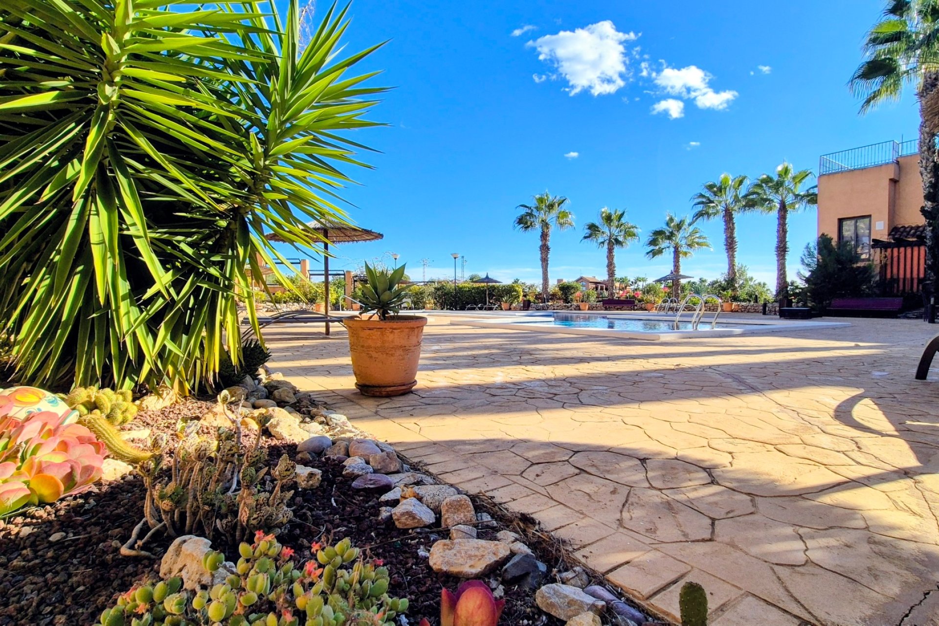 Reventa - Apartamento - Orihuela Costa - Villamartín