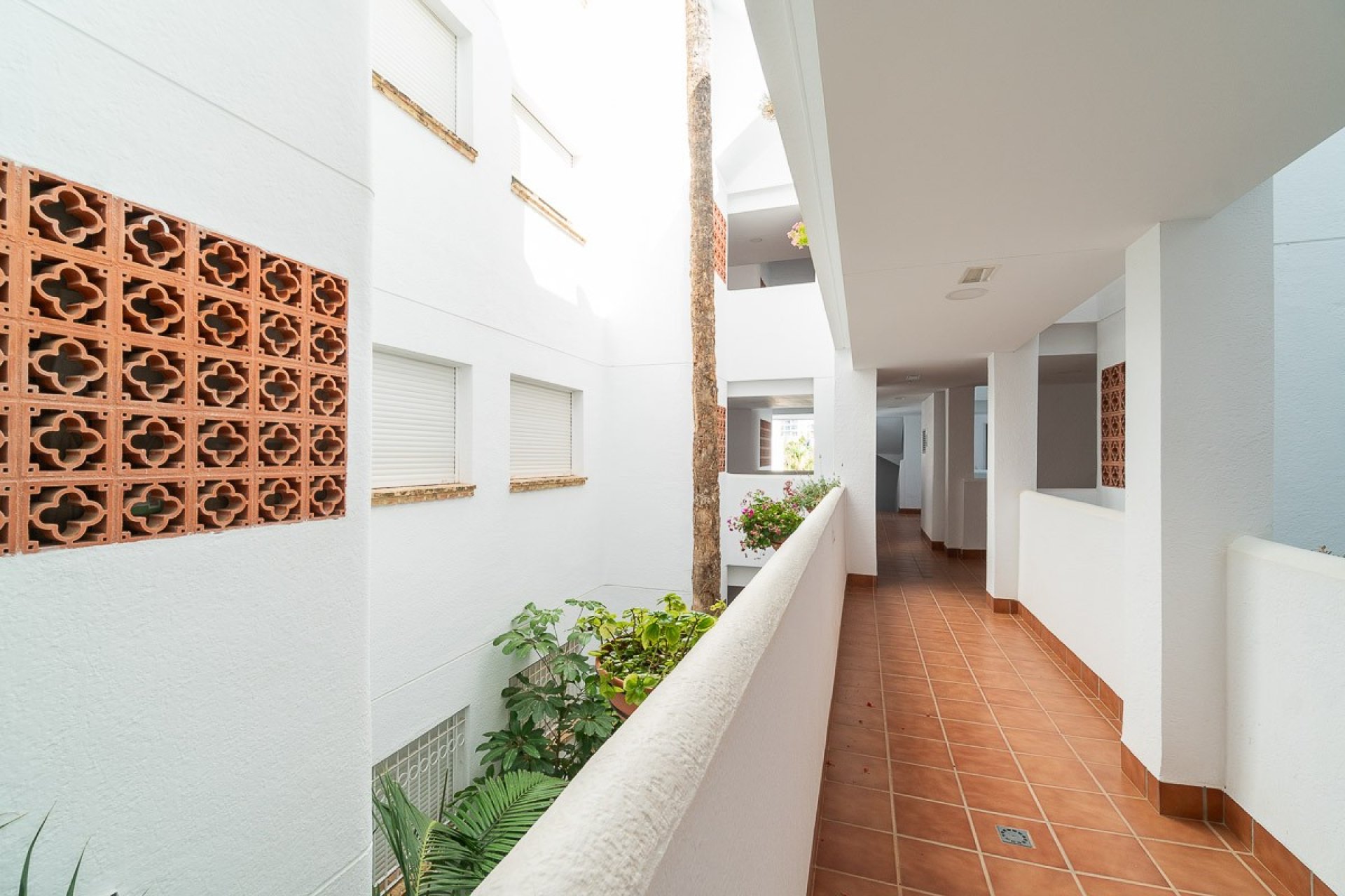 Reventa - Apartamento - Orihuela Costa - Villamartín