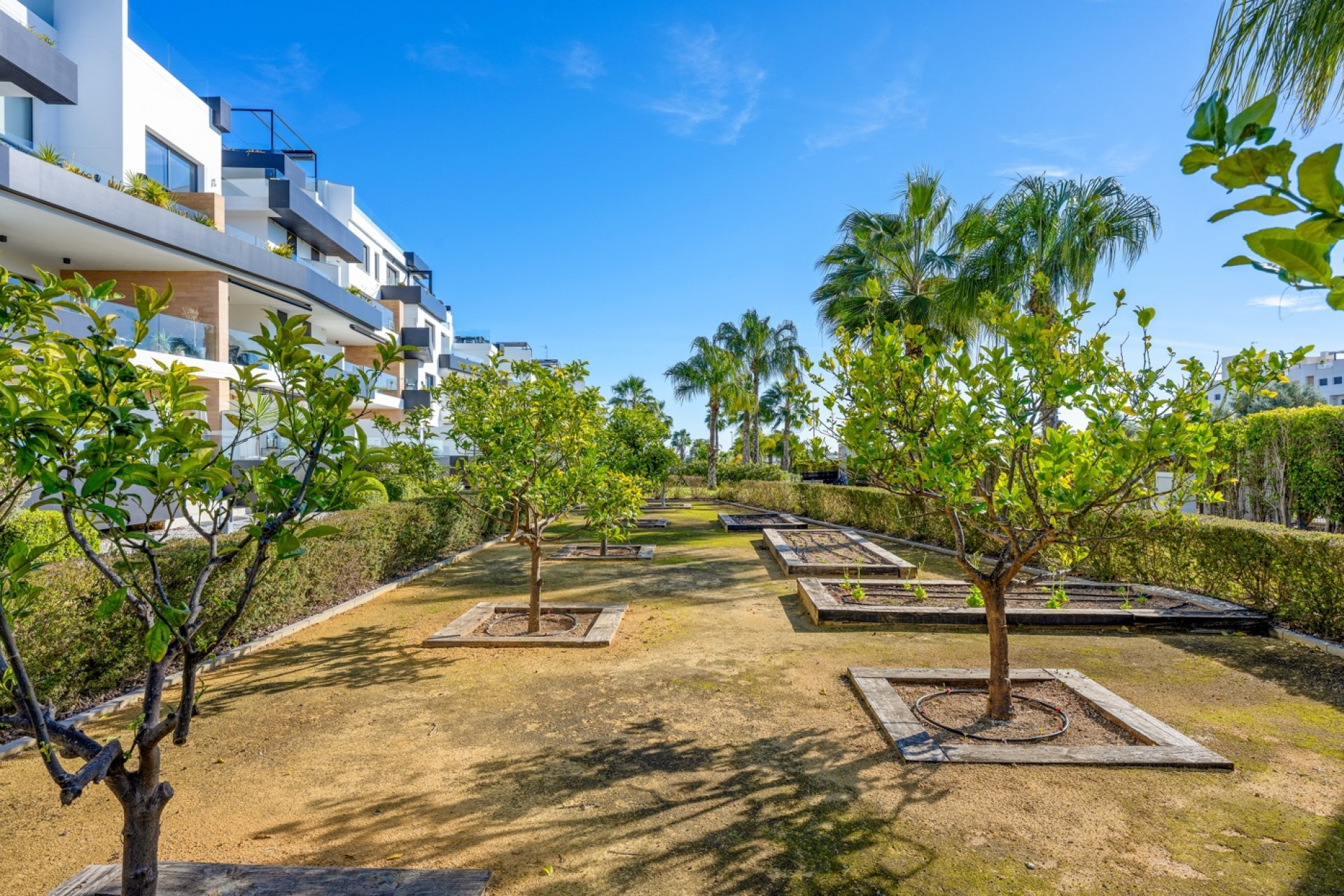 Reventa - Apartamento - Orihuela Costa - Villamartín
