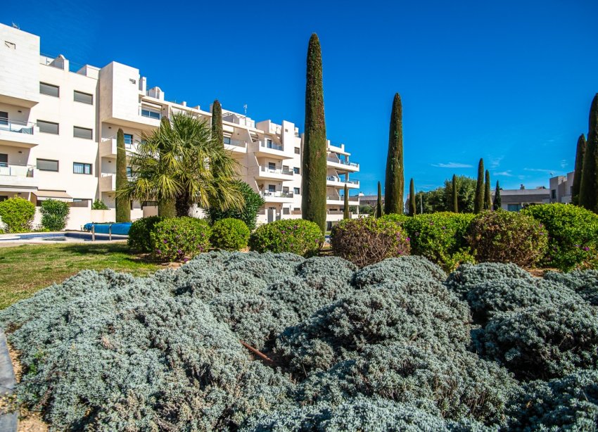 Reventa - Apartamento - Orihuela Costa