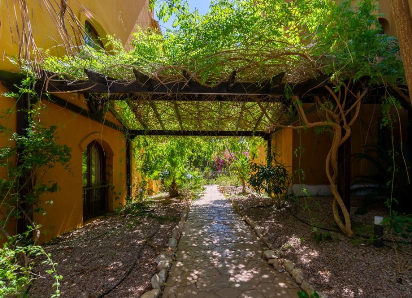 Reventa - Apartamento - Punta Prima