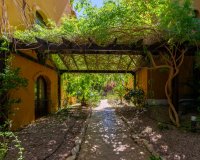 Reventa - Apartamento - Punta Prima