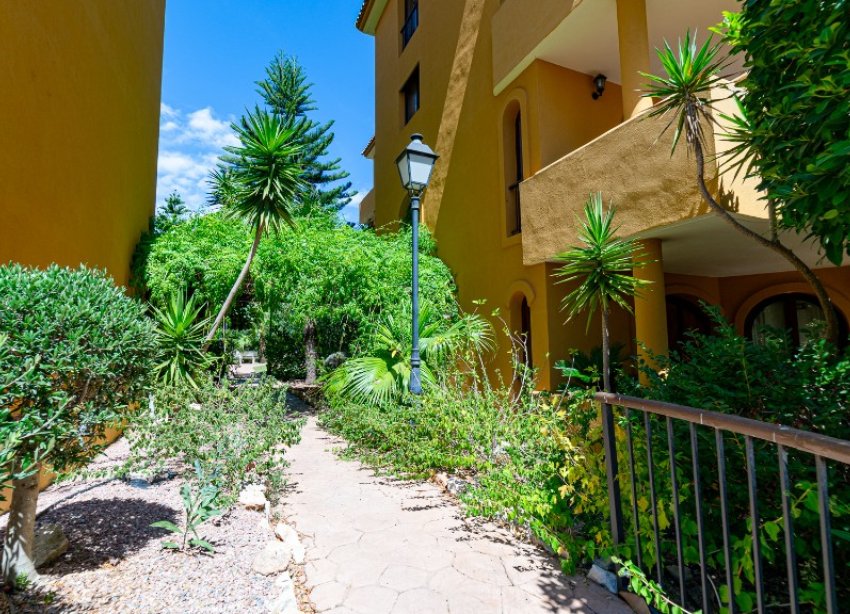 Reventa - Apartamento - Punta Prima