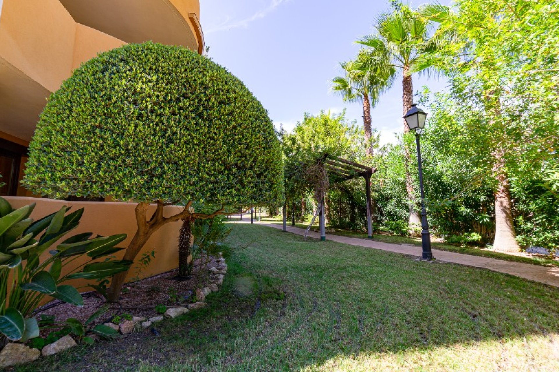 Reventa - Apartamento - Punta Prima