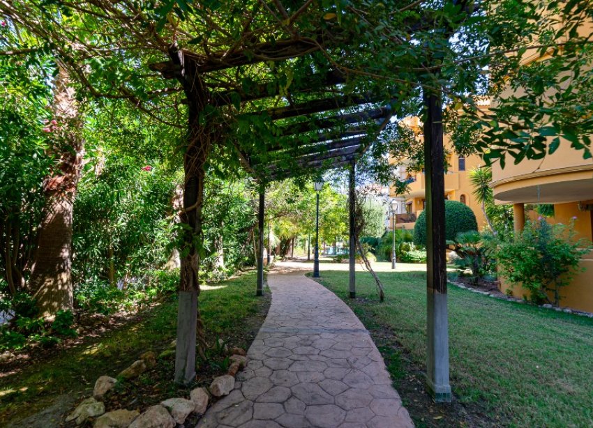 Reventa - Apartamento - Punta Prima