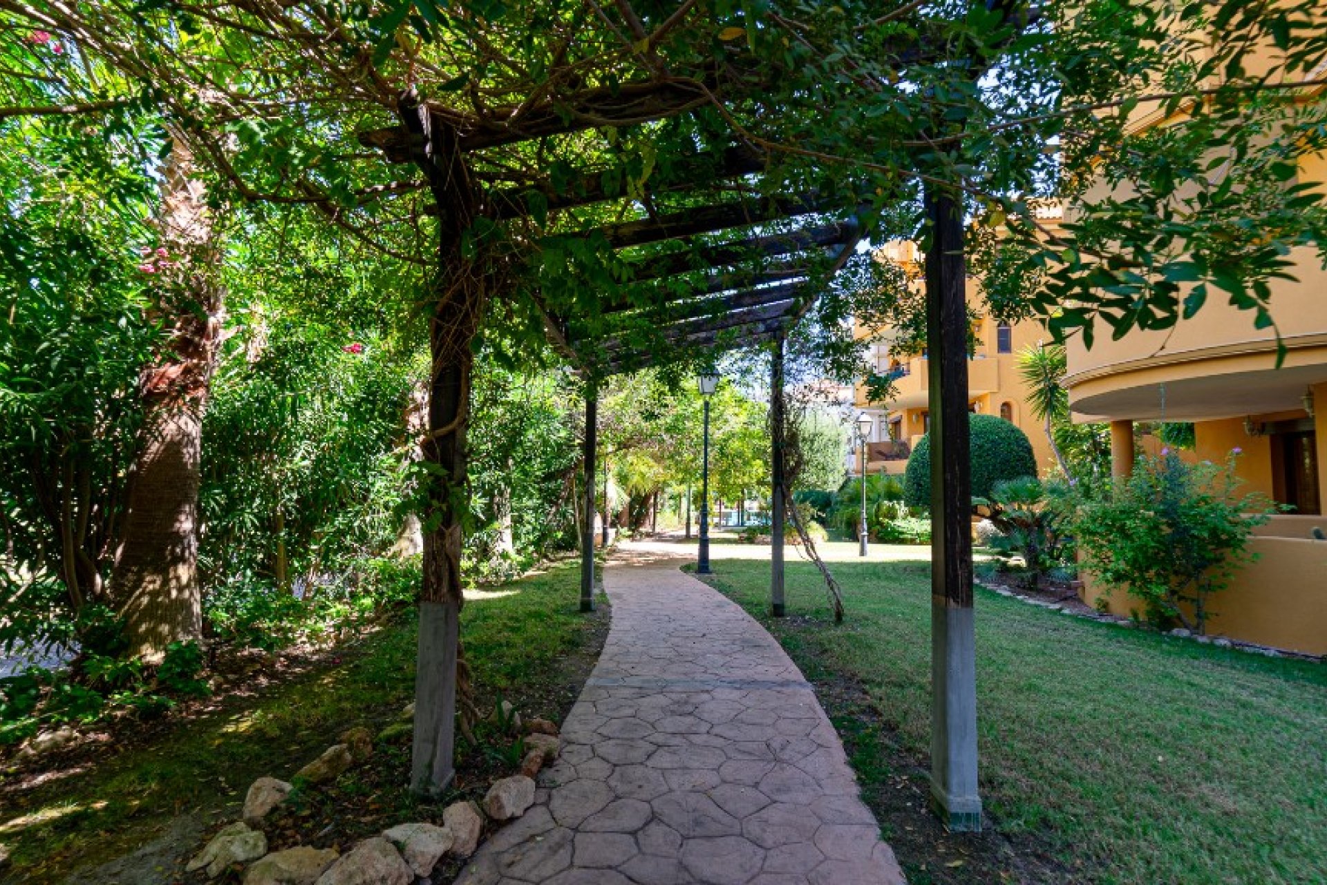 Reventa - Apartamento - Punta Prima