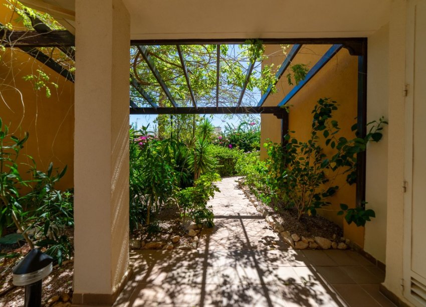 Reventa - Apartamento - Punta Prima