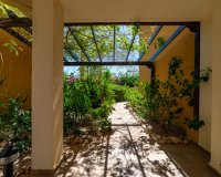 Reventa - Apartamento - Punta Prima