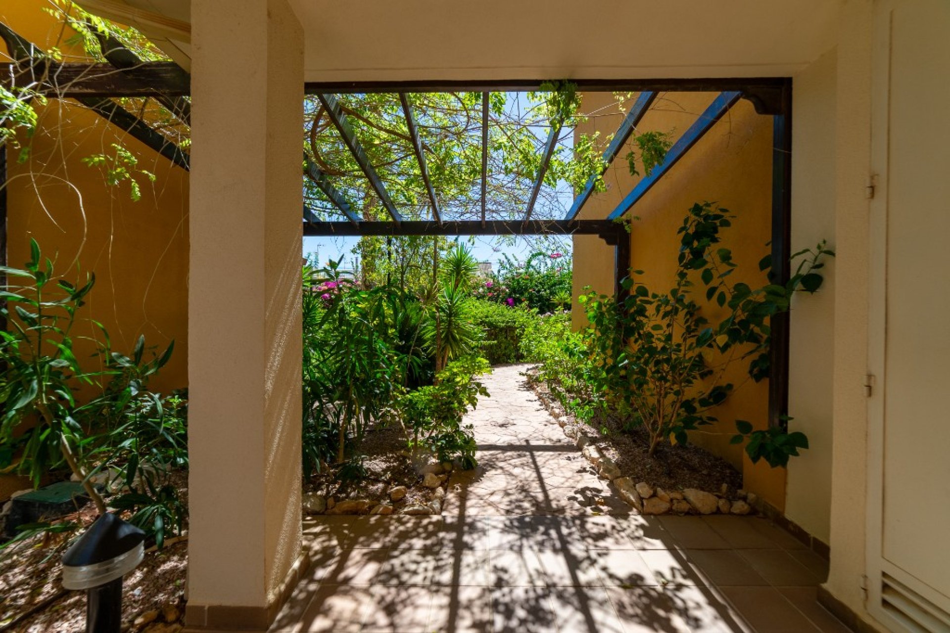 Reventa - Apartamento - Punta Prima