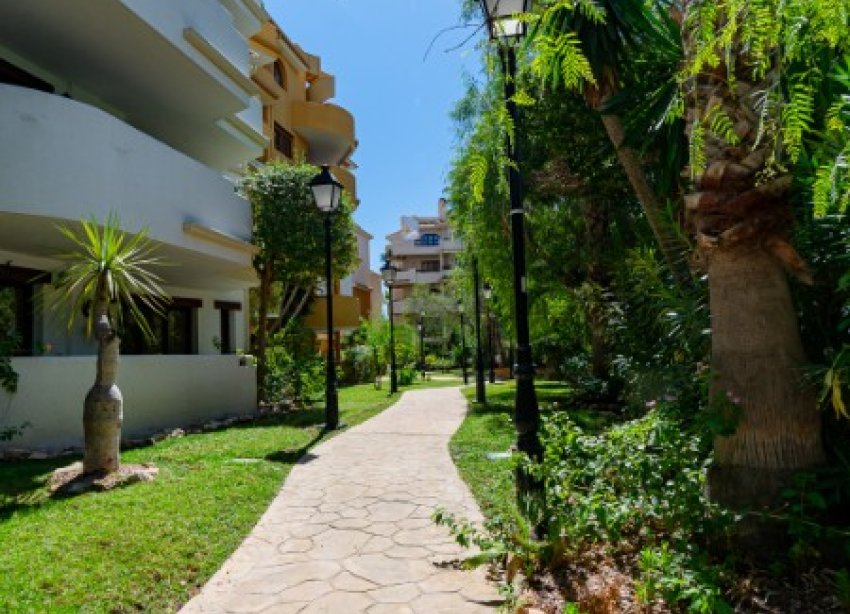 Reventa - Apartamento - Punta Prima