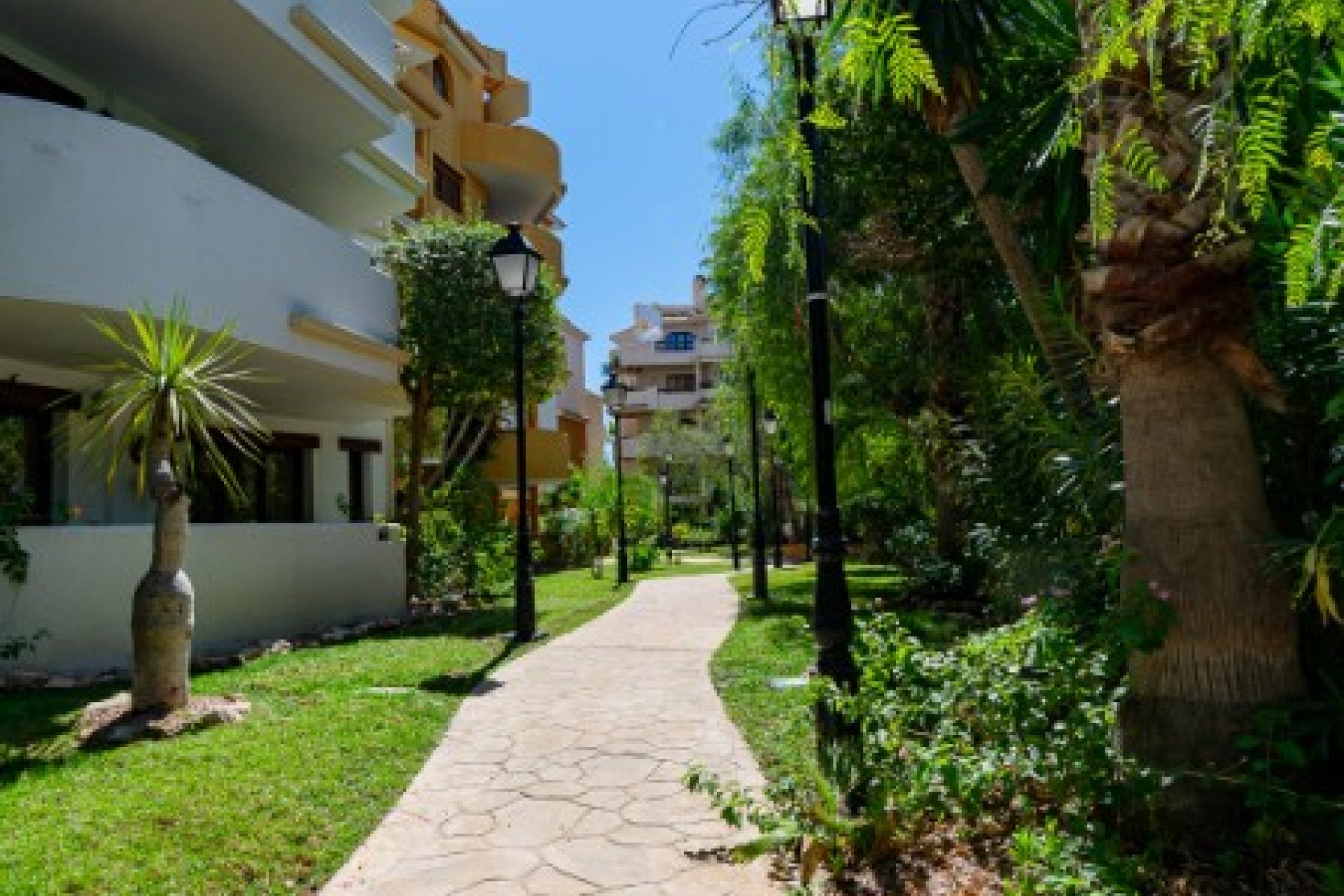 Reventa - Apartamento - Punta Prima