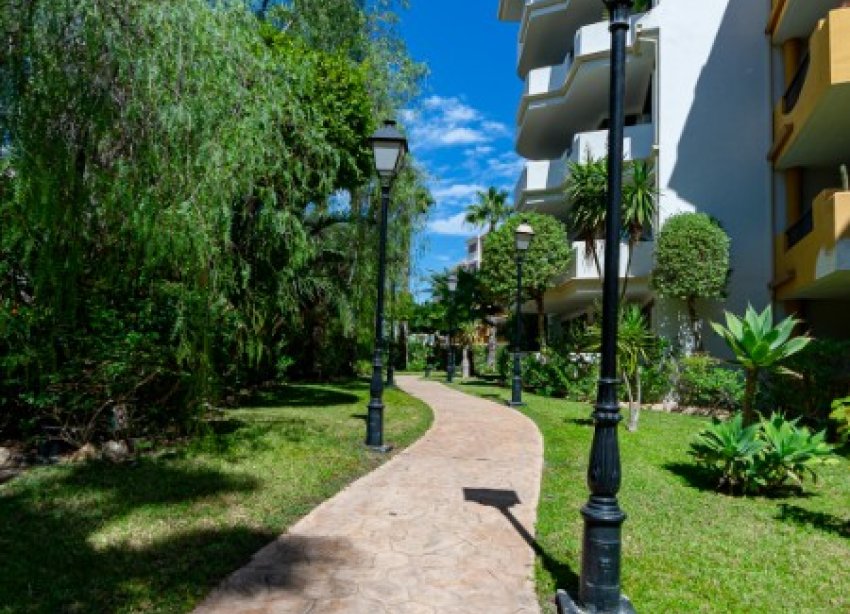 Reventa - Apartamento - Punta Prima