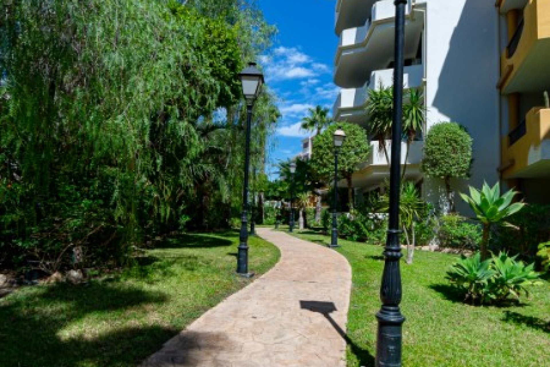 Reventa - Apartamento - Punta Prima