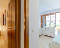 Reventa - Apartamento - Punta Prima