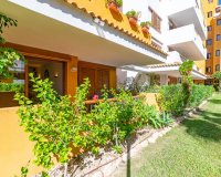Reventa - Apartamento - Punta Prima