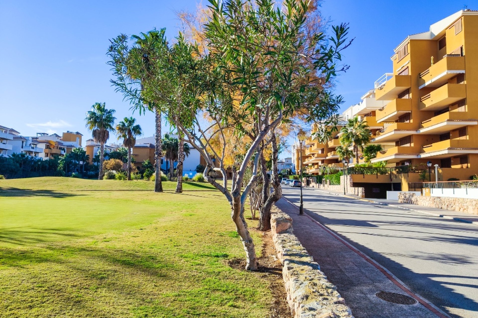 Reventa - Apartamento - Punta Prima