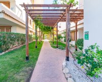 Reventa - Apartamento - Punta Prima
