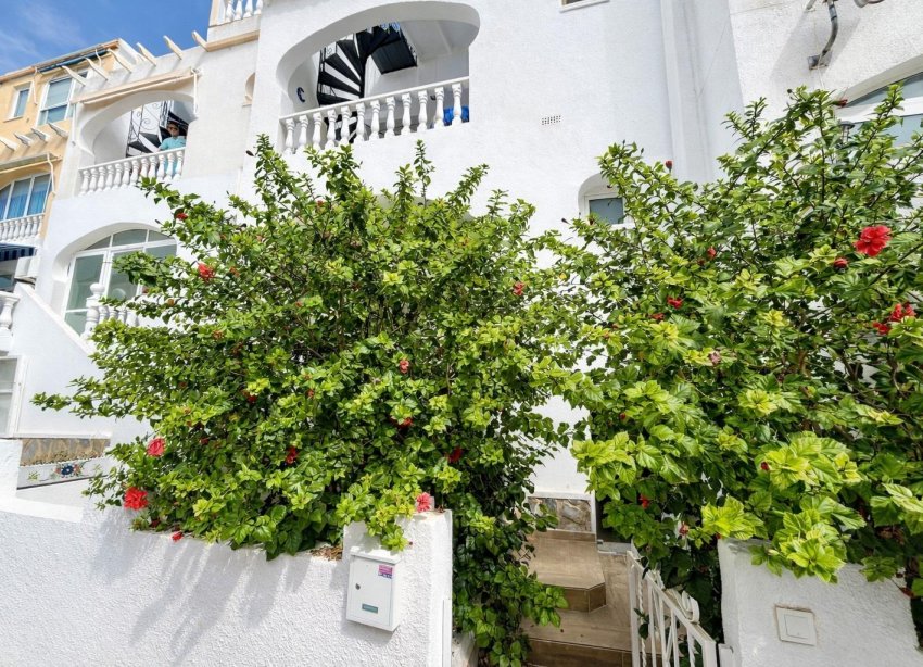 Reventa - Apartamento - San Miguel de Salinas - Las filipinas