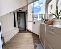 Reventa - Apartamento - San Miguel de Salinas
