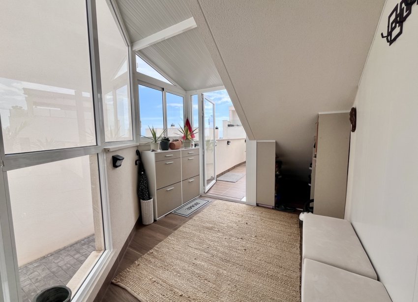 Reventa - Apartamento - San Miguel de Salinas