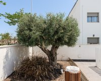 Reventa - Apartamento - Torre de la Horadada