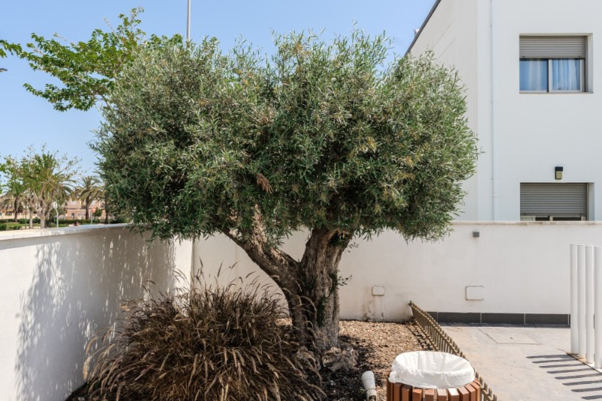 Reventa - Apartamento - Torre de la Horadada