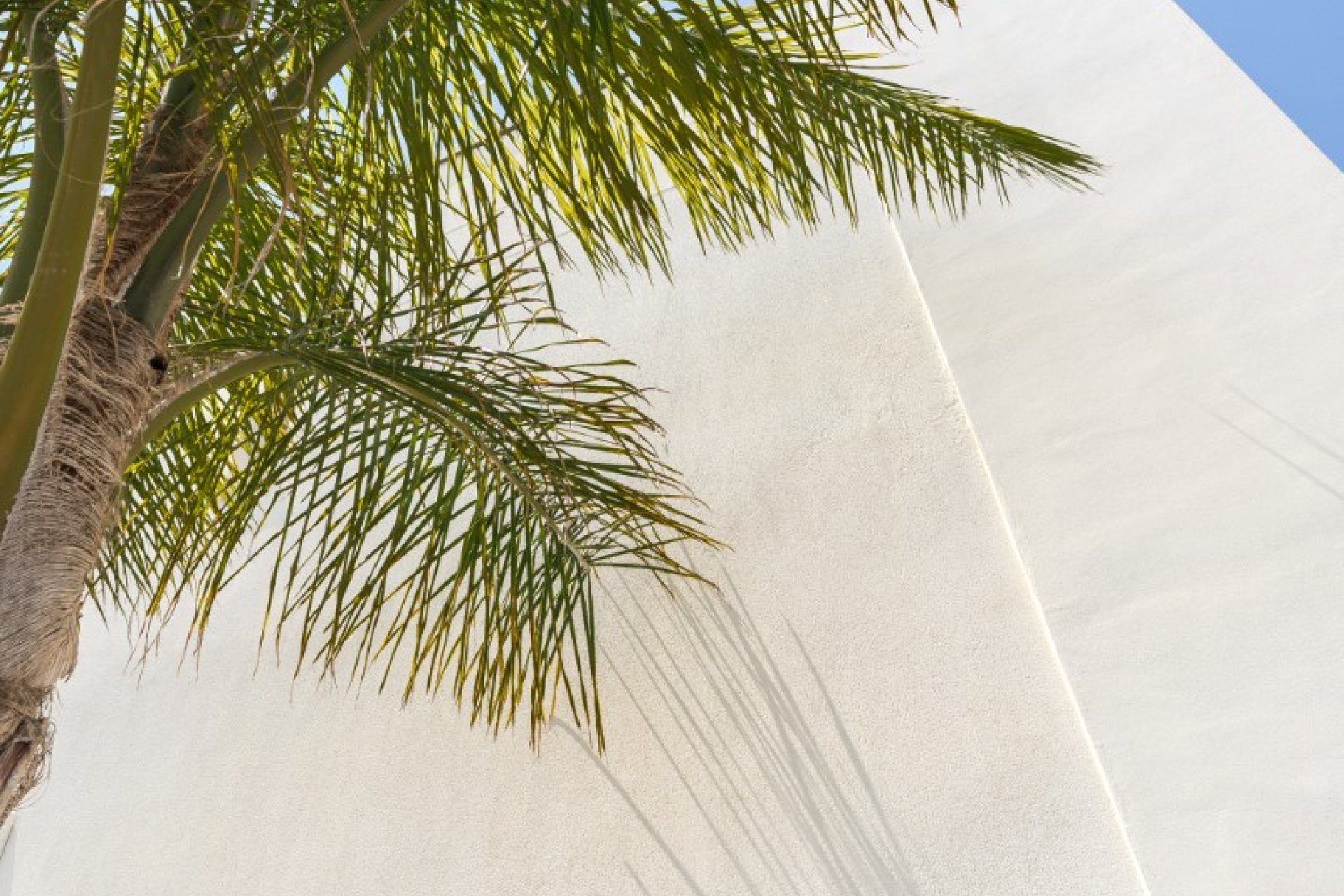 Reventa - Apartamento - Torre de la Horadada