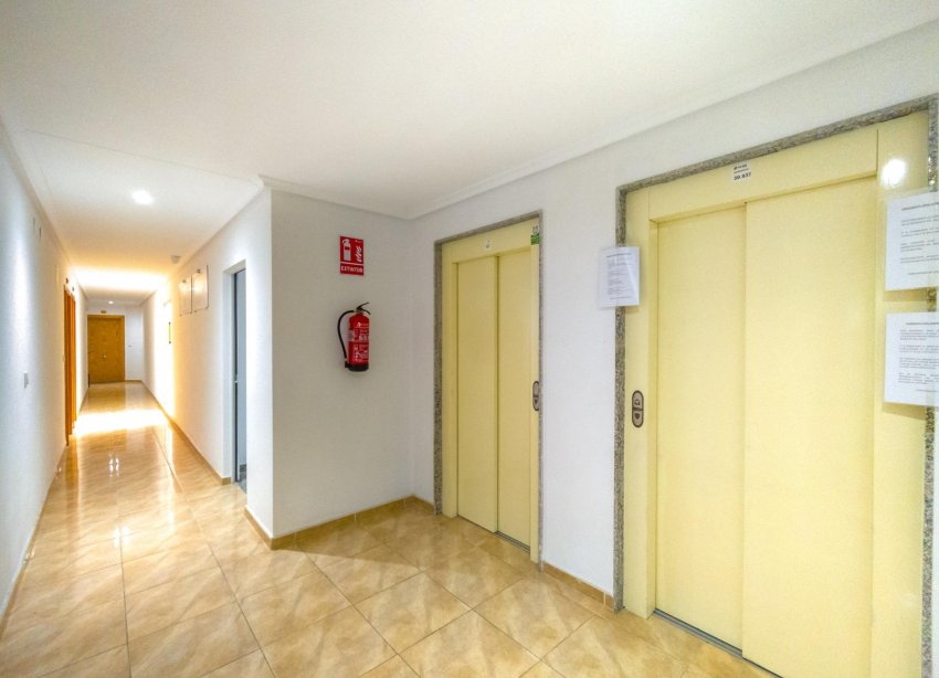 Reventa - Apartamento - Torrevieja - Acequion