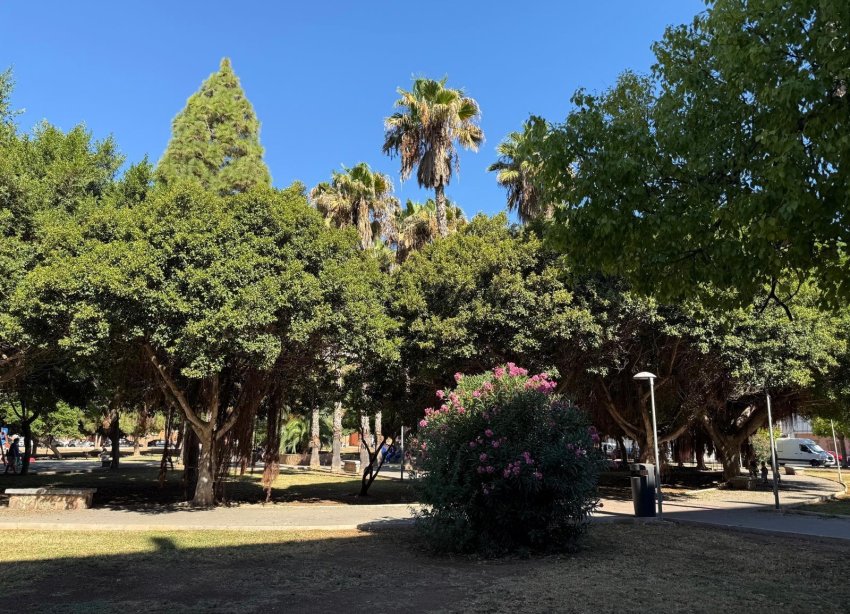 Reventa - Apartamento - Torrevieja - Acequion