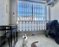 Reventa - Apartamento - Torrevieja - Acequion