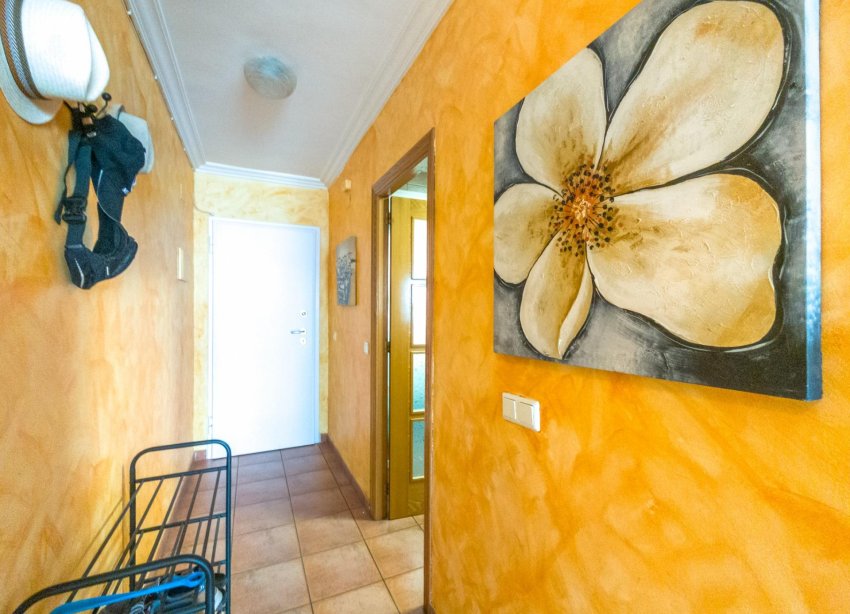 Reventa - Apartamento - Torrevieja - Acequion