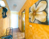 Reventa - Apartamento - Torrevieja - Acequion