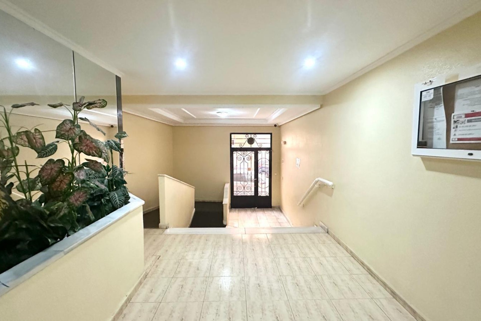 Reventa - Apartamento - Torrevieja - Acequion