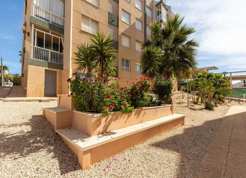 Reventa - Apartamento - Torrevieja - Cabo Cervera