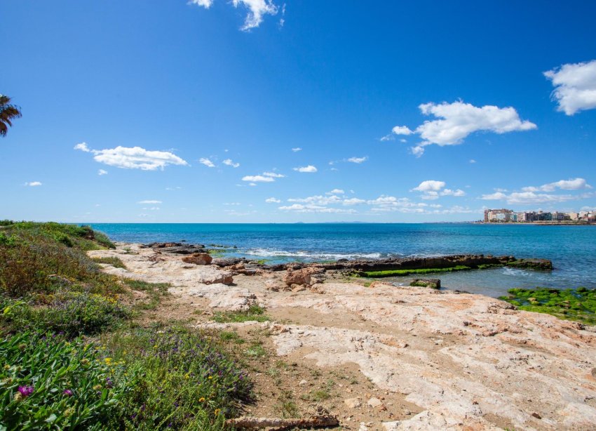 Reventa - Apartamento - Torrevieja - Centro - Muelle Pesquero