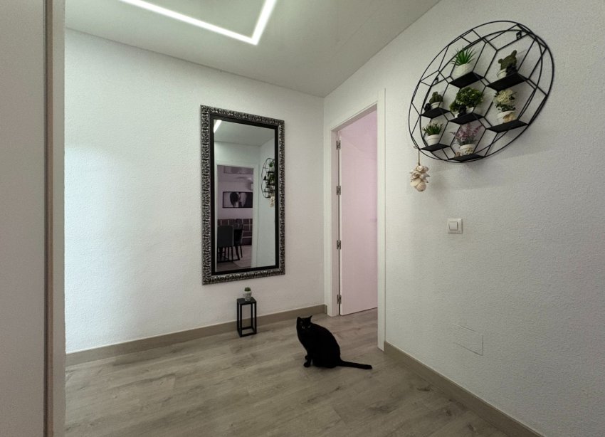 Reventa - Apartamento - Torrevieja - Centro