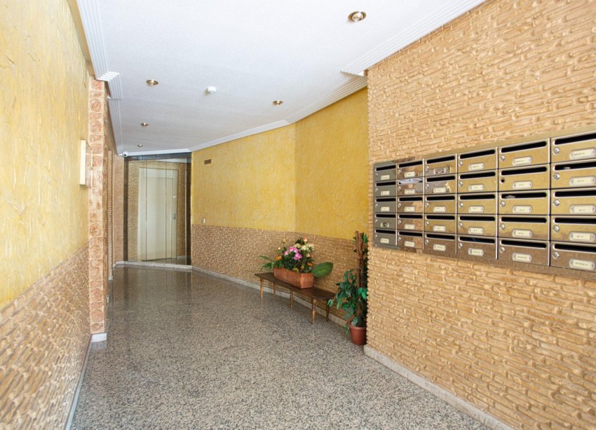 Reventa - Apartamento - Torrevieja - Centro