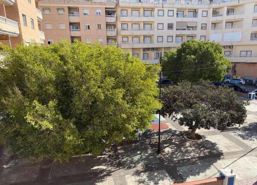 Reventa - Apartamento - Torrevieja - Centro