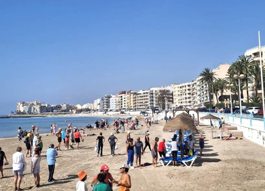 Reventa - Apartamento - Torrevieja - Centro
