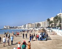 Reventa - Apartamento - Torrevieja - Centro