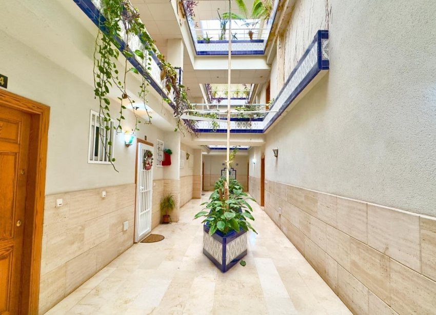Reventa - Apartamento - Torrevieja - Centro