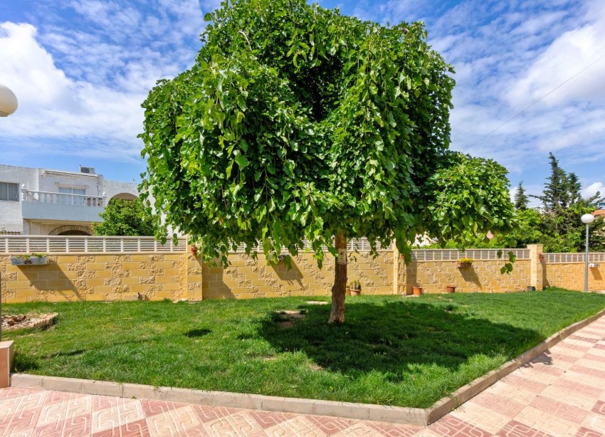 Reventa - Apartamento - Torrevieja - El chaparral