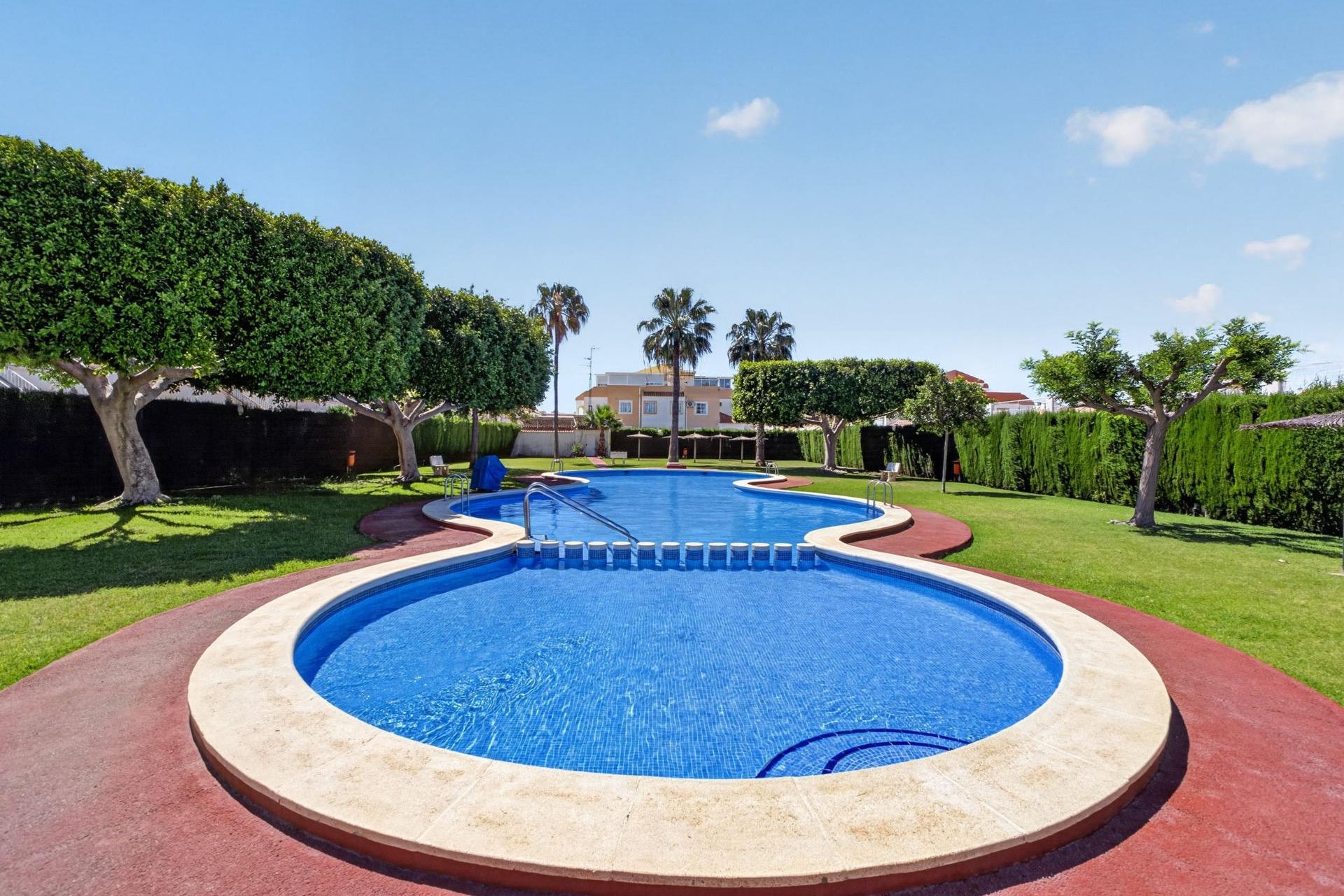 Reventa - Apartamento - Torrevieja - El limonar