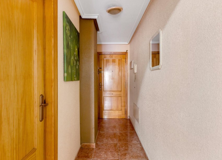 Reventa - Apartamento - Torrevieja - Estacion de autobuses